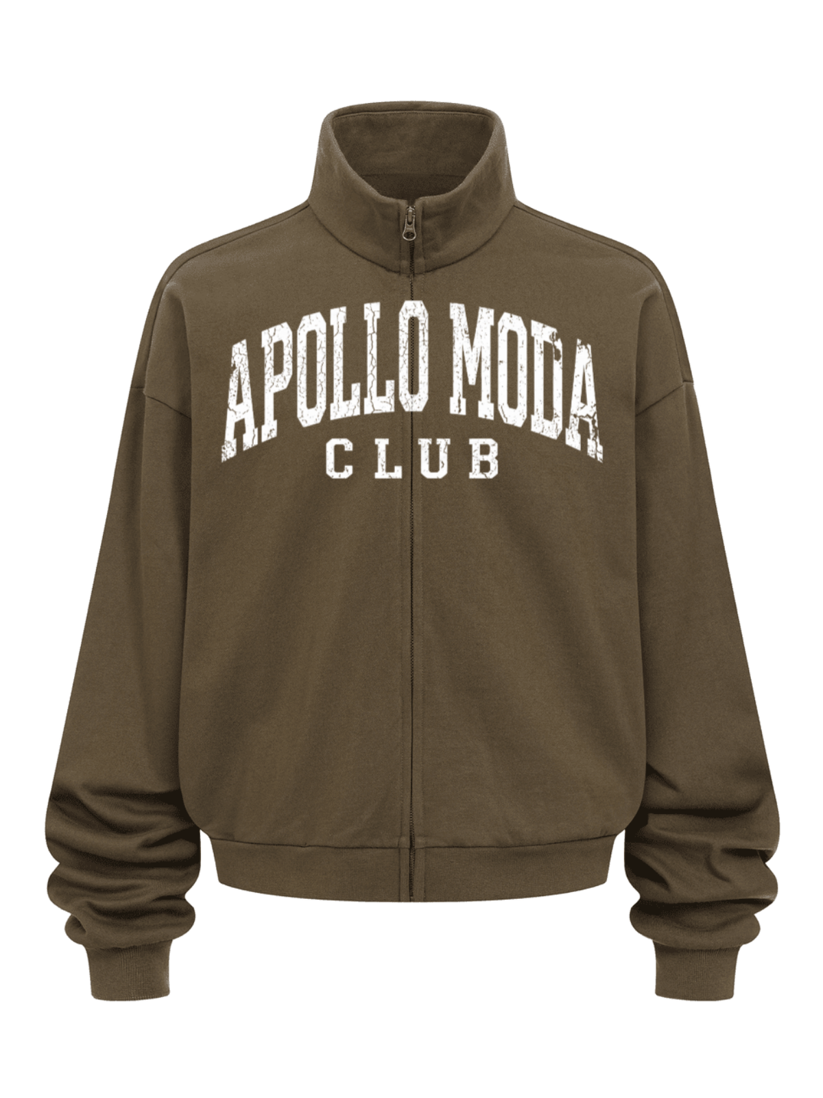 Club Collegiate oversized full-zip sweatshirt in brown by Apollo Moda, view 2